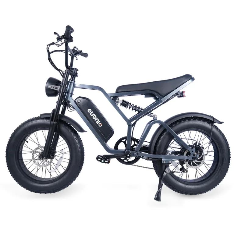 vélo électrique eueni fxh009 comparaison prix fiche produit (20)