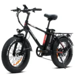 Promotion vélo électrique SAMEBIKE XWC05