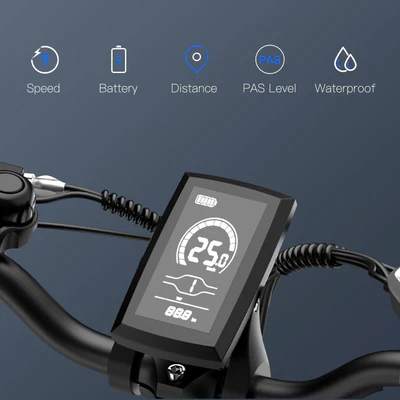 vélo électrique fafrees f20 max (8)