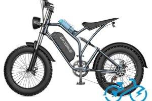 Vélo électrique tout-terrain EKX Bike T1