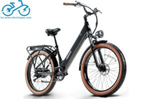 Vélo électrique de ville CEAYA AZ26 26 pouces 750W