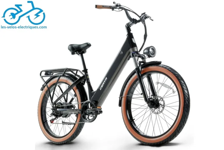 Vélo électrique de ville CEAYA AZ26 26 pouces 750W