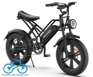 vélo électrique fat bike happyrun hr g50