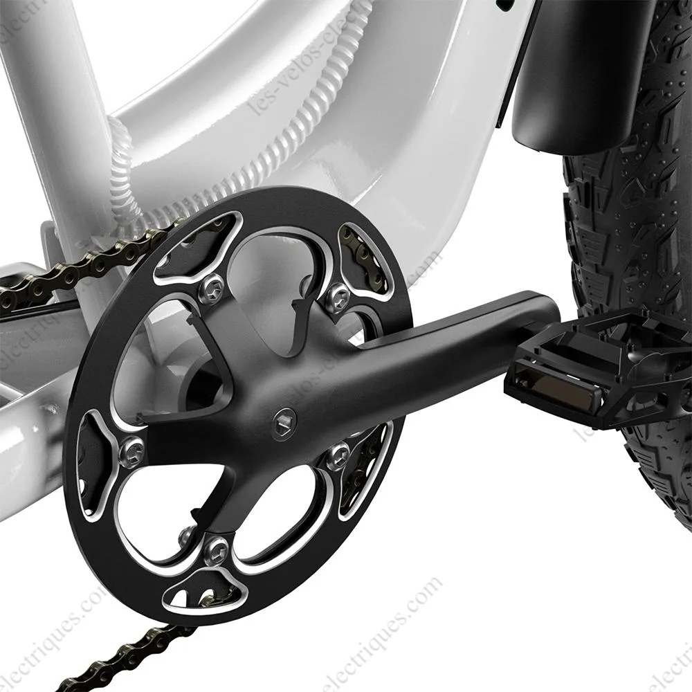 vélo électrique fatbike shengmilo mx06 (1)
