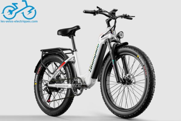 vélo électrique fatbike shengmilo mx06