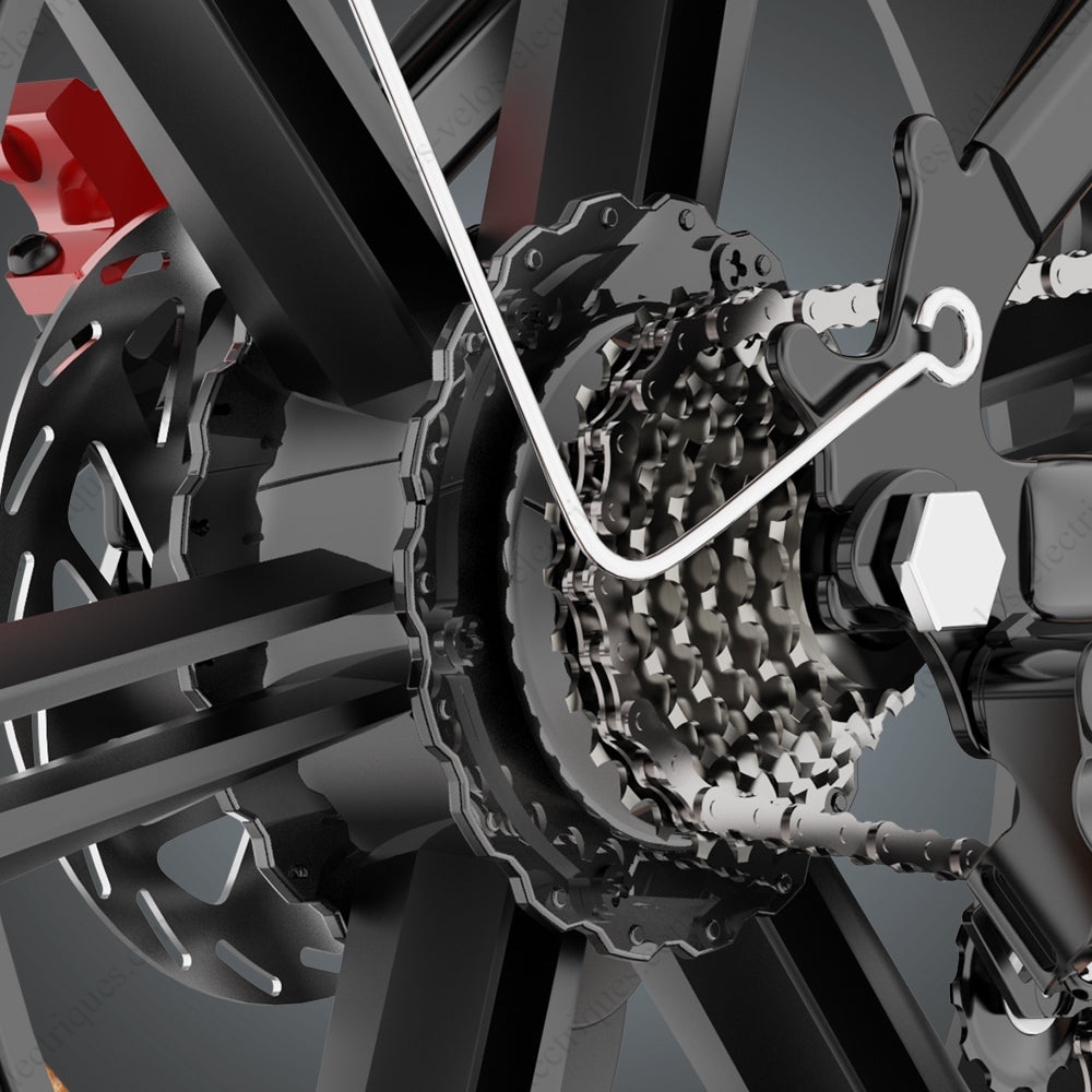 vélo électrique ridstar q20 1000w (11)