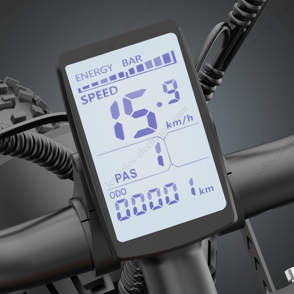 vélo électrique ridstar q20 1000w (5)