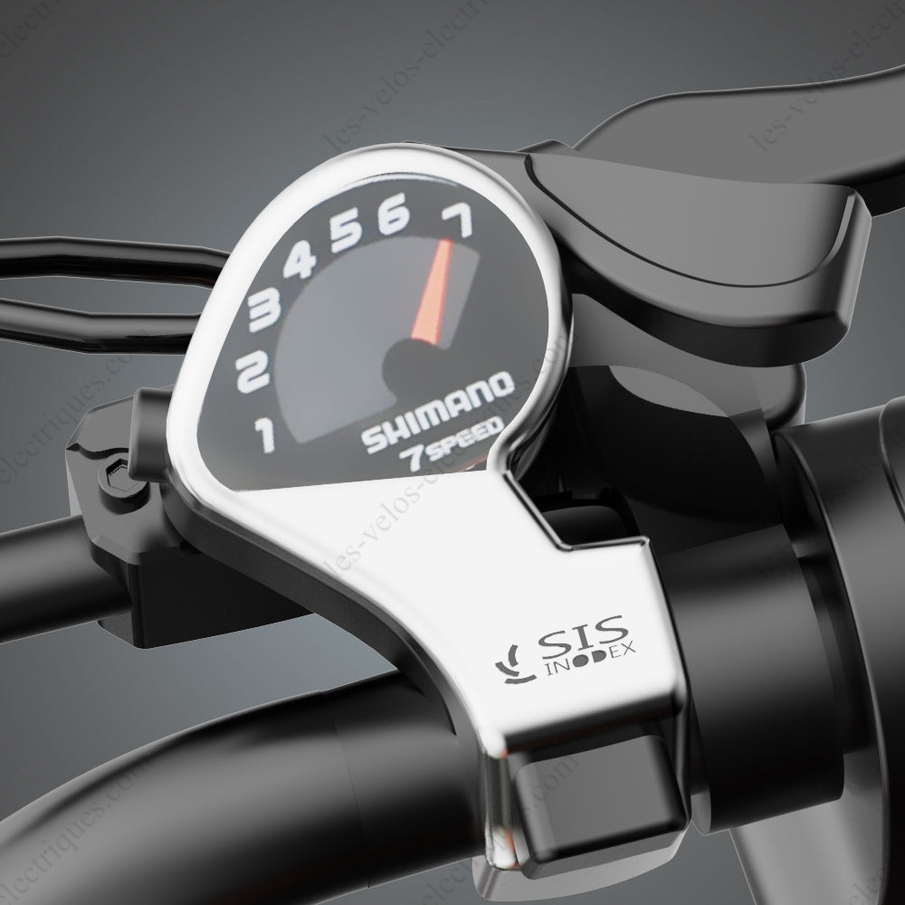 vélo électrique ridstar q20 1000w (6)