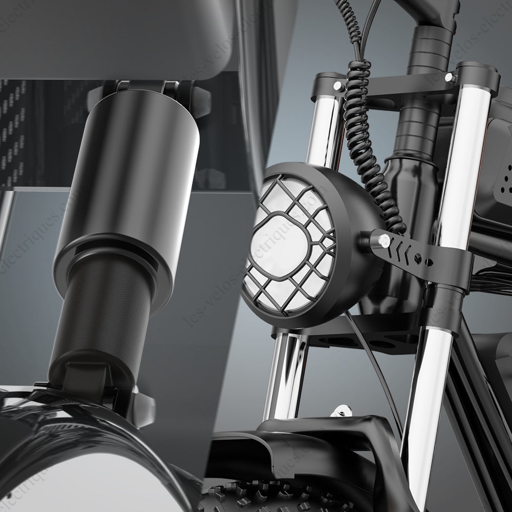 vélo électrique ridstar q20 1000w (7)