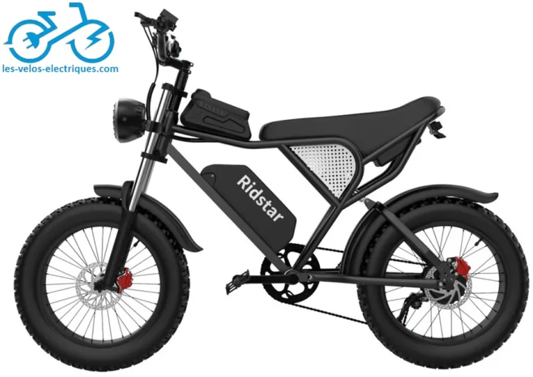 vélo électrique ridstar q20 1000w