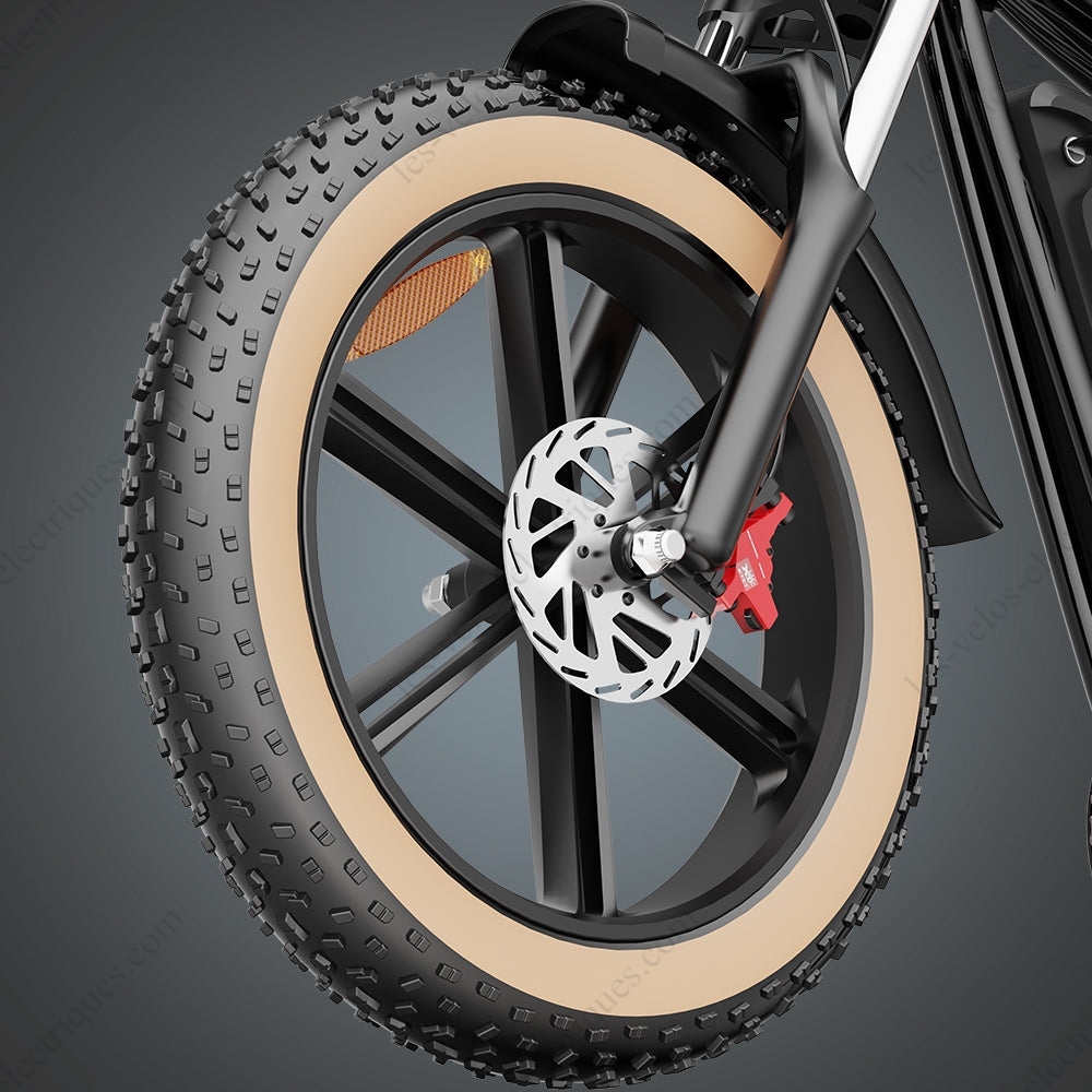 vélo électrique ridstar q20 1000w (8)