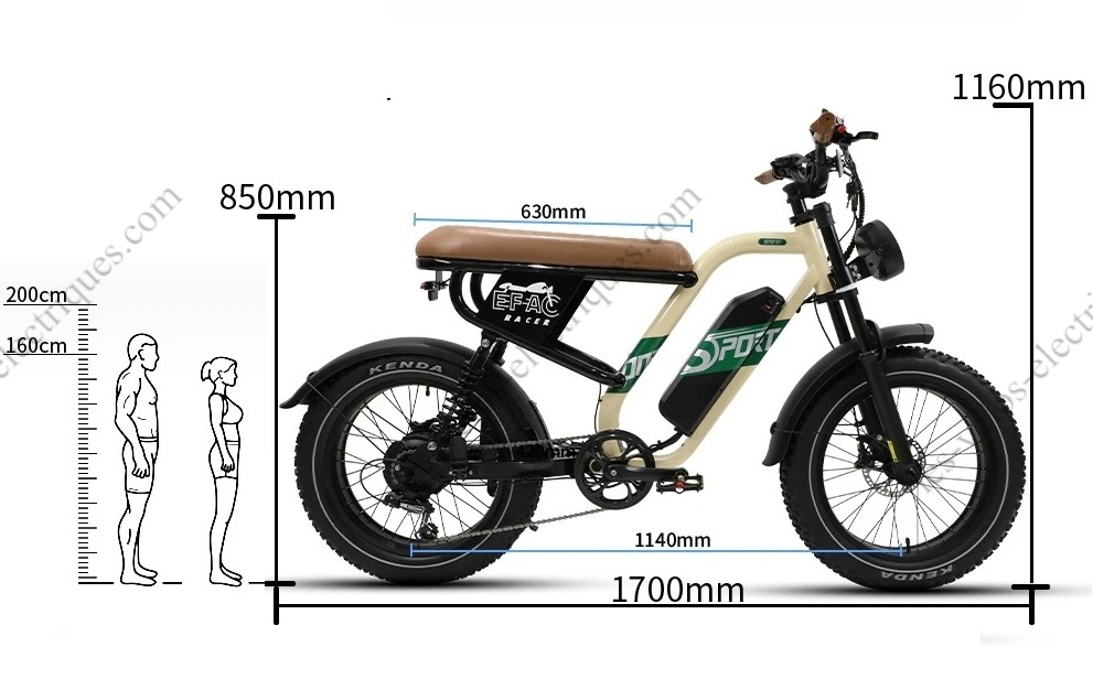 onesport w66 dimensions