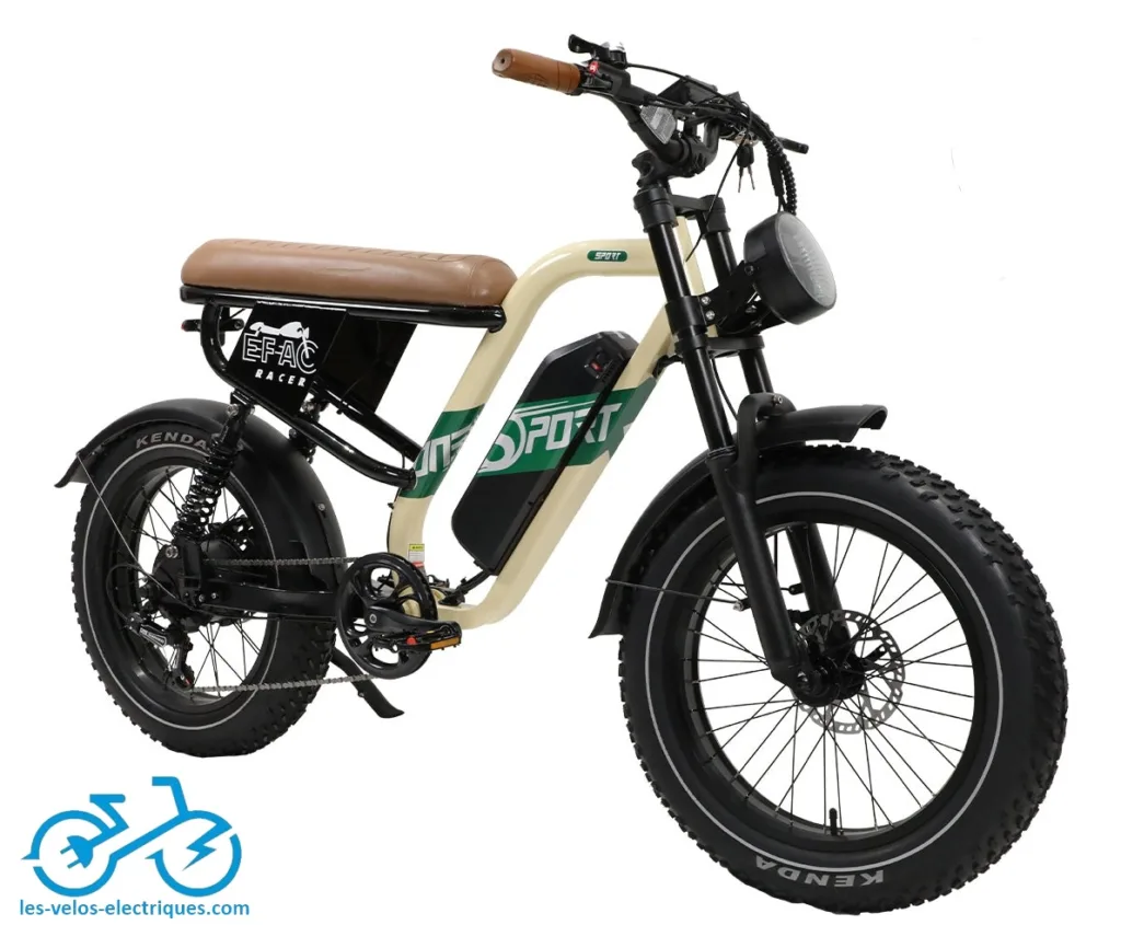 vélo électrique fatbike onesport w66