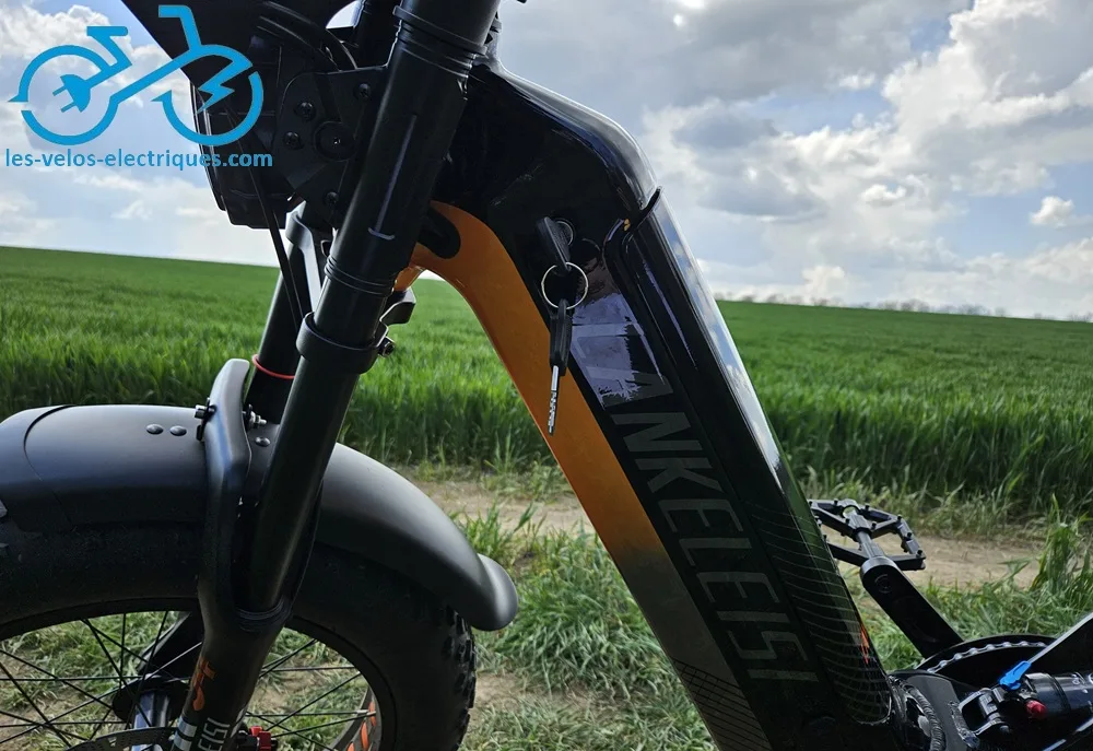 cadre lankeleisi rx800 plus (1)