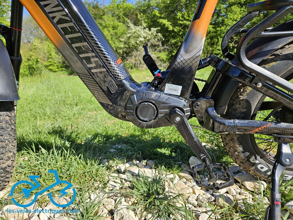 cadre lankeleisi rx800 plus (6)