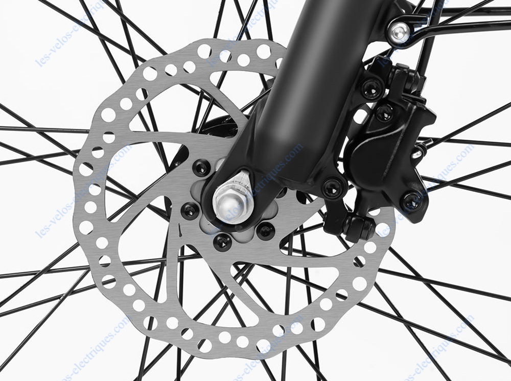 vélo électrique eleglide t2 (2)