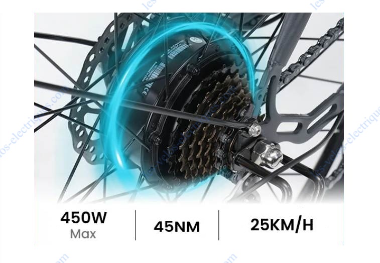 vélo électrique eleglide t2 (2)