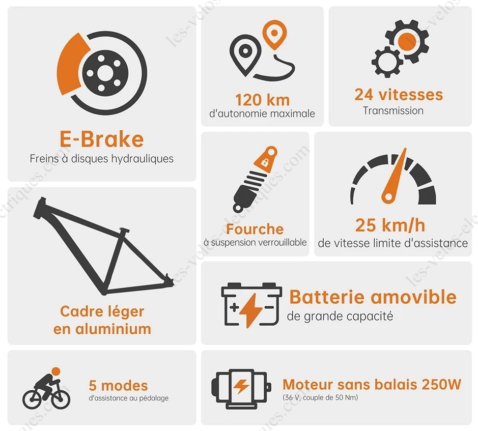 foride xtremer 2 (9)