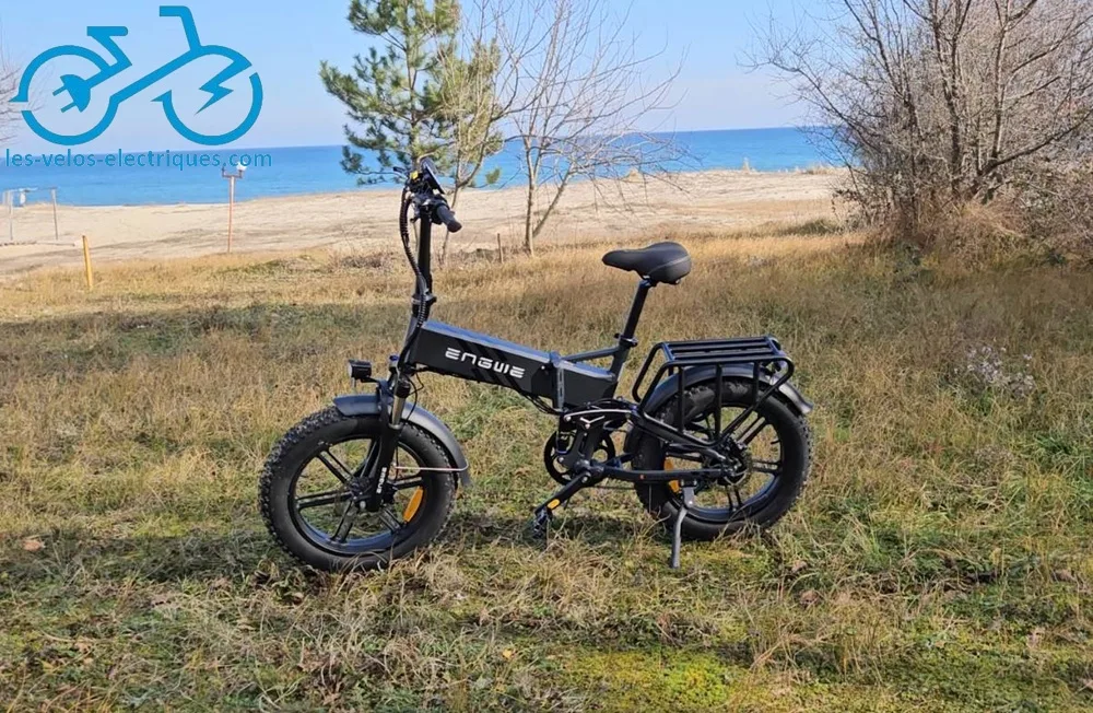 engwe engine pro 2.0 cadre pliable (2)