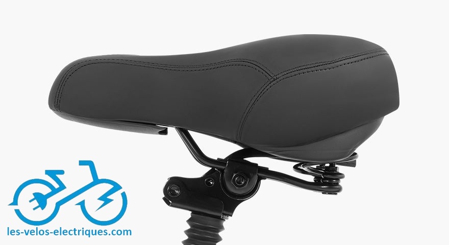 vélo électrique dyu c9 (3)