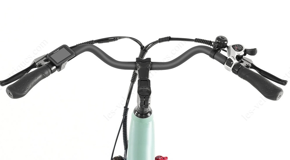 foride roamer 1 (20)