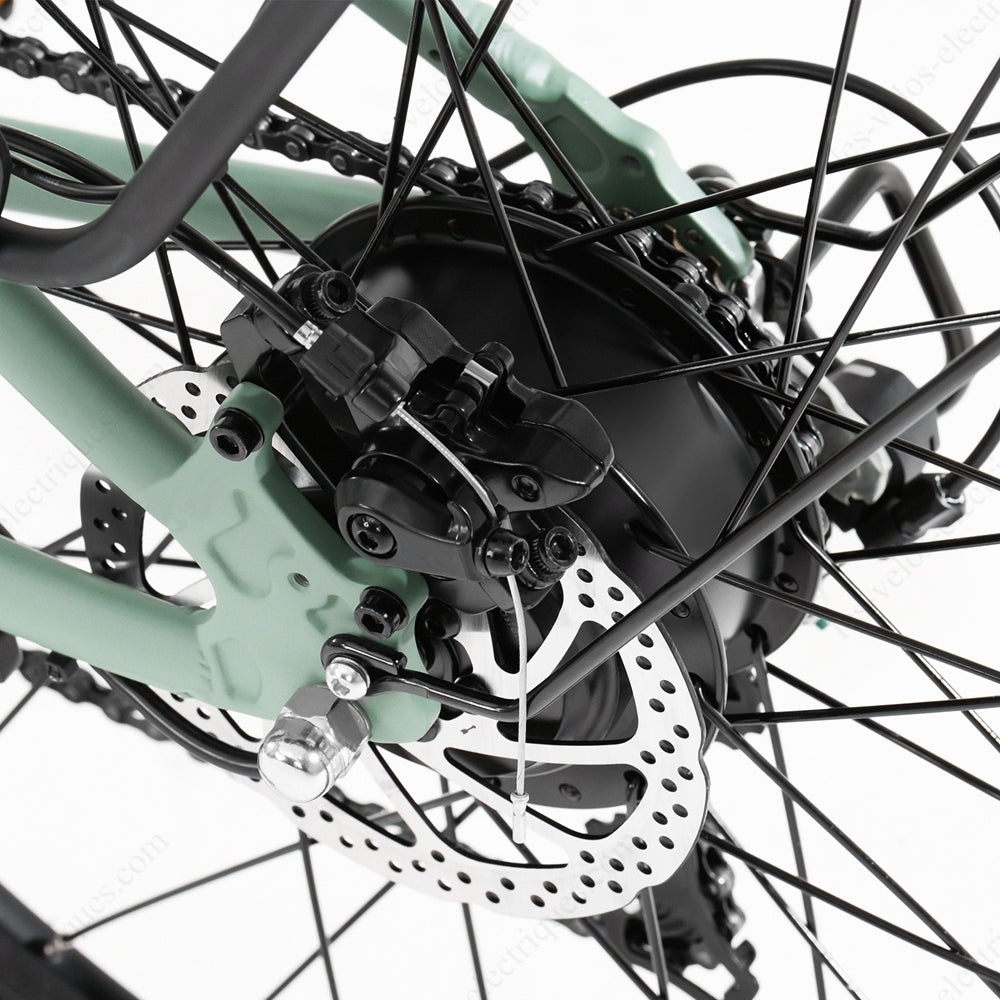 foride roamer 1 moteur (1)