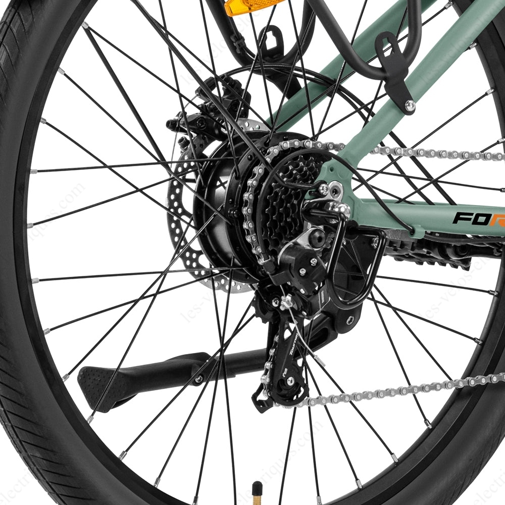 foride roamer 1 moteur (2)