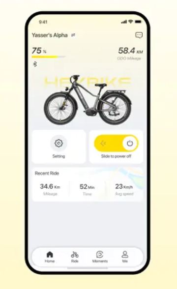 application mobile (1)
