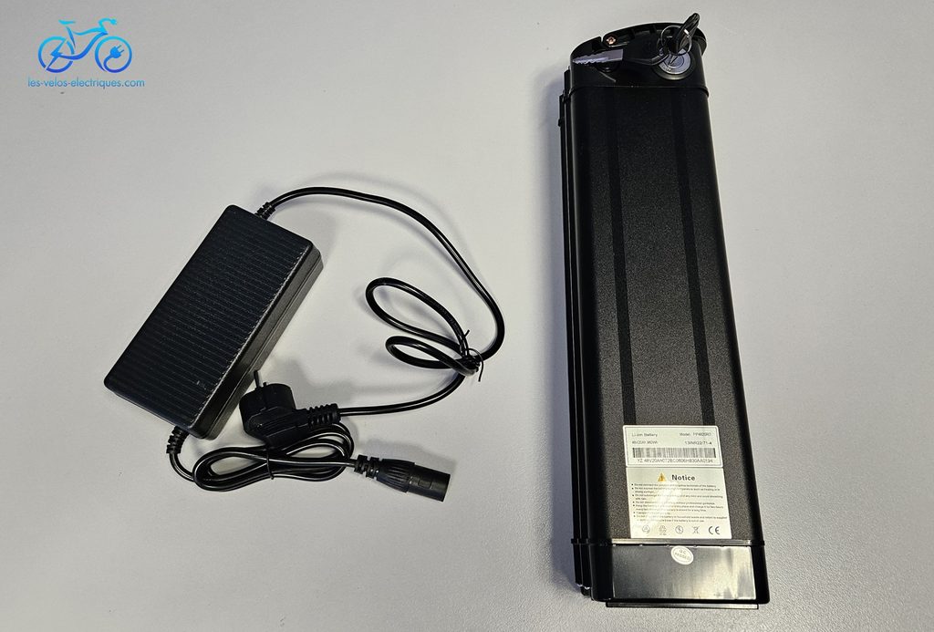 batterie amovible de 960 wh 48 v 20 ah (5)